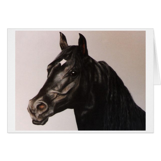 Al Zirr (Voorkant Horizontaal)