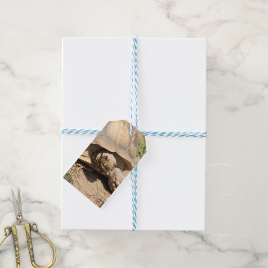 Ala aldabra cadeaulabel (Met Touw)