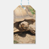 Ala aldabra cadeaulabel (Voorkant)