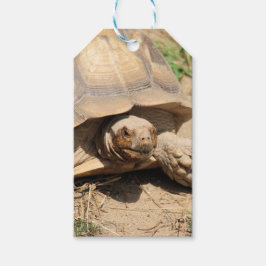 Ala aldabra cadeaulabel