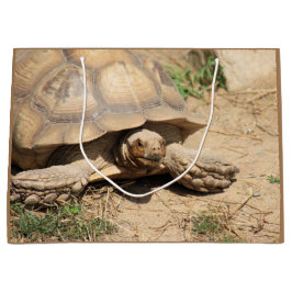 Ala aldabra groot cadeauzakje