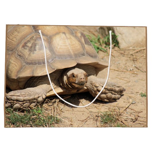 Ala aldabra groot cadeauzakje (Achterkant)