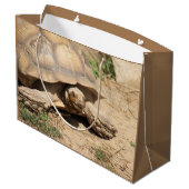 Ala aldabra groot cadeauzakje (Achterkant Gekanteld)