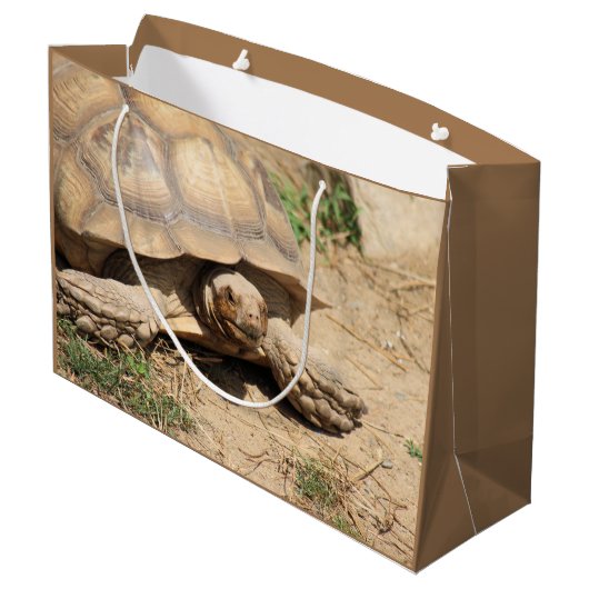 Ala aldabra groot cadeauzakje (Achterkant Gekanteld)