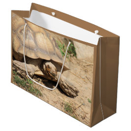 Ala aldabra groot cadeauzakje