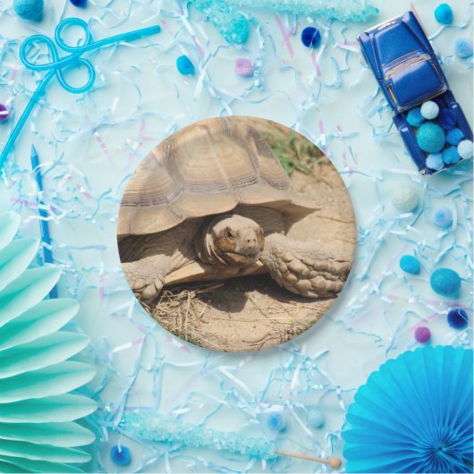 Ala aldabra papieren bordje (Feest)