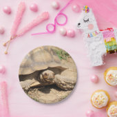 Ala aldabra papieren bordje (Feest)