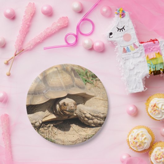 Ala aldabra papieren bordje (Feest)