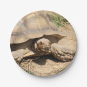 Ala aldabra papieren bordje (Voorkant)