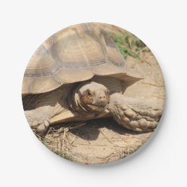 Ala aldabra papieren bordje