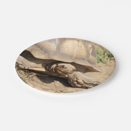 Ala aldabra papieren bordje (Gekanteld)