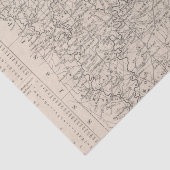 Alabama 6 tissuepapier (Detail)