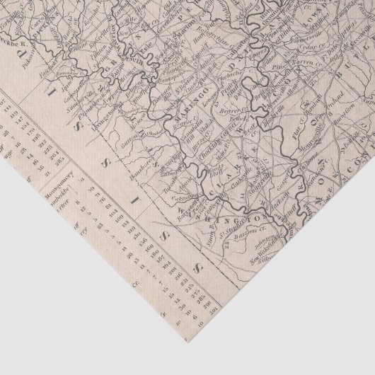 Alabama 6 tissuepapier (Detail)