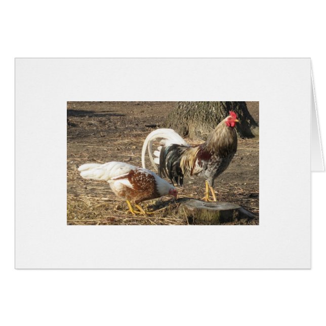 Alabama Blue Rubble Long-Tail Gamecock (Voorkant Horizontaal)