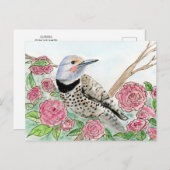 Alabama Briefkaart (Voorkant / Achterkant)