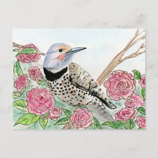 Alabama Briefkaart (Voorkant)