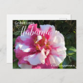 Alabama Camellia Flower Briefkaart (Voorkant / Achterkant)