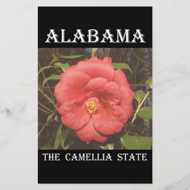 Alabama Camellia (rood) (Voorkant)