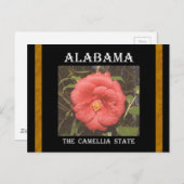 Alabama Camellia (rood) Briefkaart (Voorkant / Achterkant)