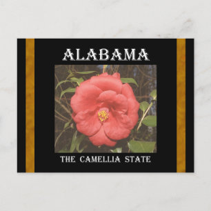 Alabama Camellia (rood) Briefkaart
