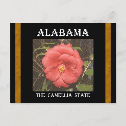 Alabama Camellia (rood) Briefkaart (Voorkant)