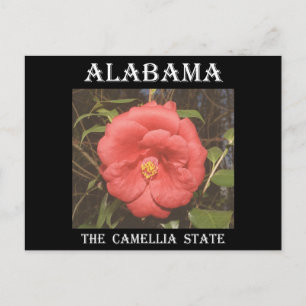 Alabama Camellia (rood) Briefkaart