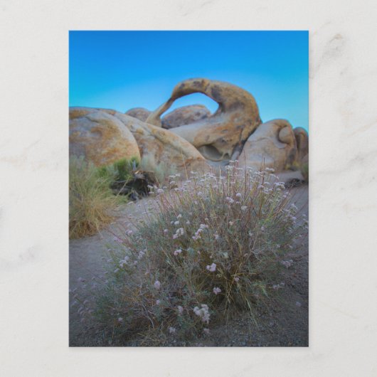 Alabama Hills Arch Briefkaart (Voorkant)