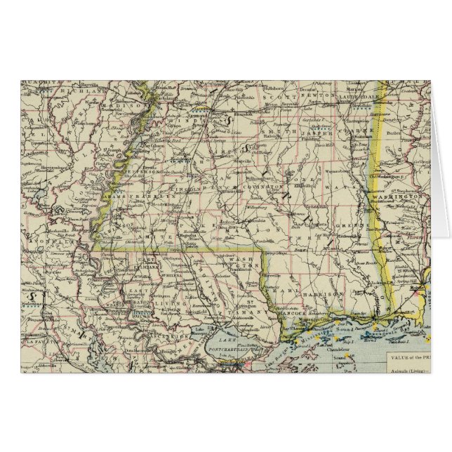 Alabama, Mississippi, Louisiana, Arkansas (Voorkant Horizontaal)