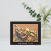 Alabama Red Bellied Turtle 2 (Alabama) Briefkaart (Staand voorkant)