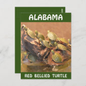 Alabama Red Bellied Turtle 2 (Alabama) Briefkaart (Voorkant / Achterkant)