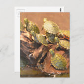 Alabama Red Bellied Turtle 2 (Alabama) Briefkaart (Voorkant / Achterkant)