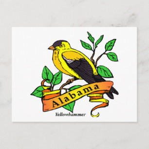 Alabama State Bird Briefkaart