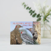 Alabama State Bird - Northern Flicker Briefkaart