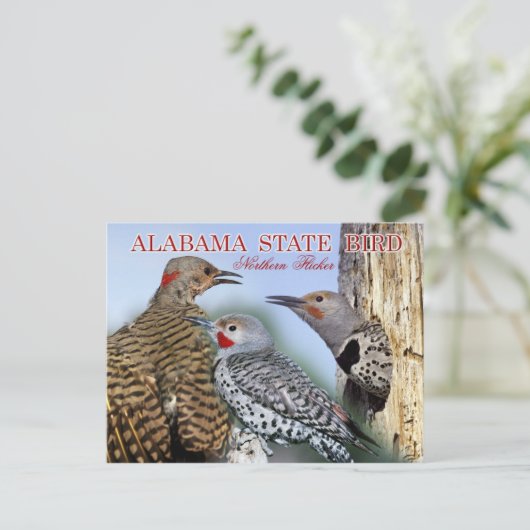 Alabama State Bird - Northern Flicker Briefkaart (Staand voorkant)