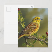 Alabama State Bird Yellowhammer Briefkaart (Voorkant / Achterkant)