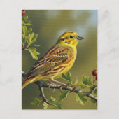 Alabama State Bird Yellowhammer Briefkaart (Voorkant)