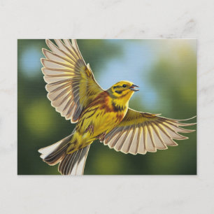 Alabama State Bird Yellowhammer Briefkaart