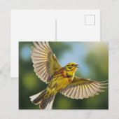 Alabama State Bird Yellowhammer Briefkaart (Voorkant / Achterkant)