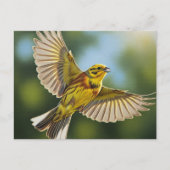Alabama State Bird Yellowhammer Briefkaart (Voorkant)