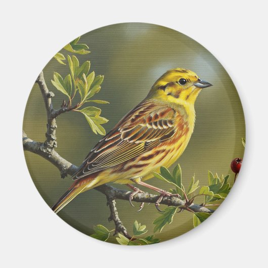 Alabama State Bird Yellowhammer Magneet (Voorkant)