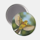 Alabama State Bird Yellowhammer Magneet (Voorkant / Achterkant)