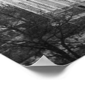 Alabama State Capitol Poster (Hoek)