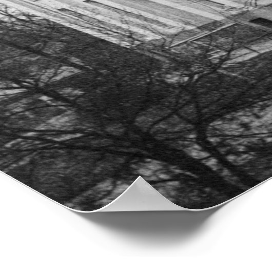 Alabama State Capitol Poster (Hoek)