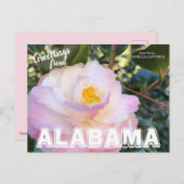 Alabama State Flower, Camellia Briefkaart (Voorkant / Achterkant)