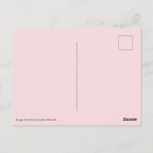 Alabama State Flower, Camellia Briefkaart (Achterkant)