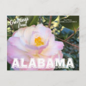 Alabama State Flower, Camellia Briefkaart (Voorkant)