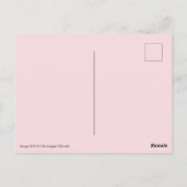 Alabama State Flower, Camellia Briefkaart (Achterkant)