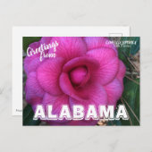 Alabama State Flower, Camellia Briefkaart (Voorkant / Achterkant)