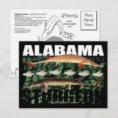 Alabama Sturgeon-Collage-Briefkaart Briefkaart (Voorkant / Achterkant)