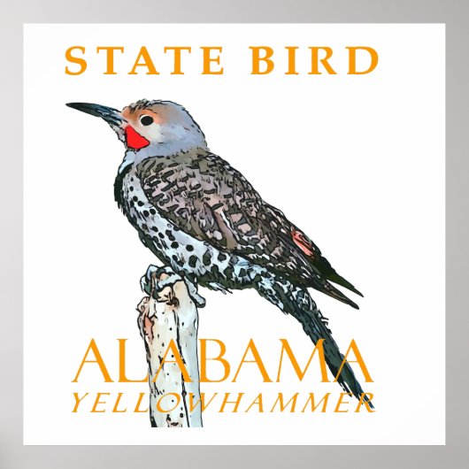 Alabama Territory Vogel De Gewone Grondspecht Poster (Voorkant)
